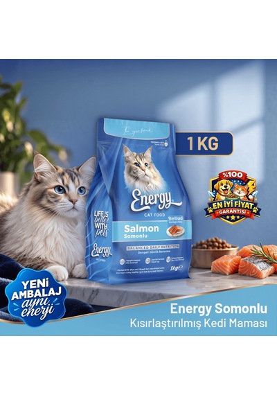 Energy Kedi Maması 1 Kg Somonlu Kısırlaştırılmış 8'li Paket