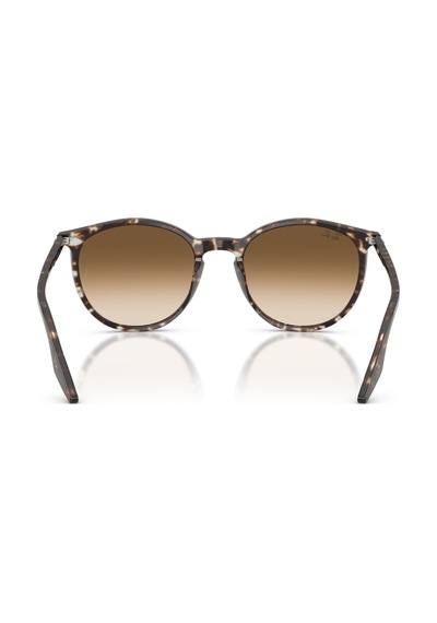 Ray-Ban Rb 2204 143151 51 Erkek Güneş Gözlüğü Siyah