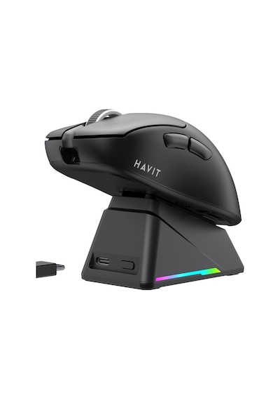Havit Gamenote Ms955wb Pro Rgb Wireless Gaming Mouse 3 Modlu + Cmcmhvt0006 Gamenote Ms955wb Pro