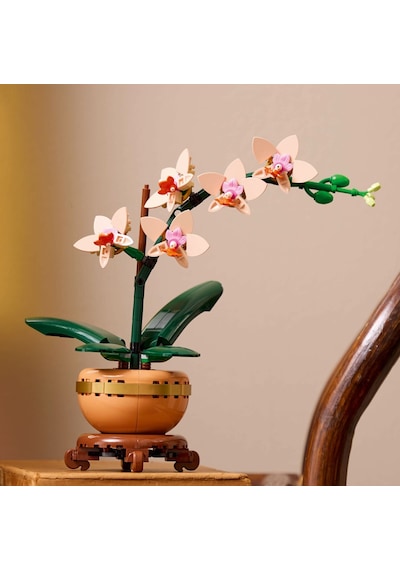 LEGO® Botanicals Mini Orkide 10343 –  Yetiskinler için Terakota Saksi ve Kaide Içeren Dekoratif Çiçek Yapim Seti (274 Parça)