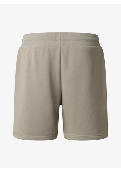 The North Face Nf0a8gqb-2mb Simple Dome Light Regular Erkek Şort Gri