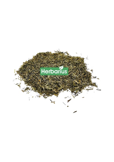 Herbarius Yoğurt Otu Yapışkan Otu 100 G