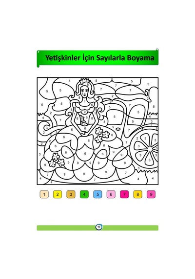 Yetişkinler İçin Sayılarla BOYAMA Kitabı