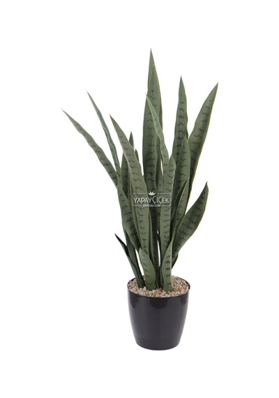Yapay Paşa Kılıcı Sansevieria Bitkisi 35 Yapraklı 80 Cm