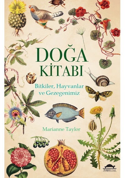 Maya Popüler Bilim Seti - 6 Kitap Takım