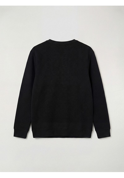 Lcw Eco Siyah Bisiklet Yaka Dokulu Erkek Sweatshirt