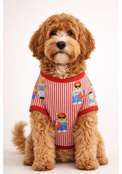 Alphadog Teddy Küçük Irk Köpek T-shirtü