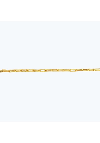 Altınbaş 22 Ayar Altın Zincir Bileklik Bbl0058-25941 Çok Renkli