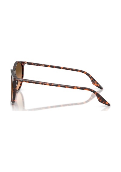 Ray-ban Güneş Gözlüğü Rb2204 54 14293b