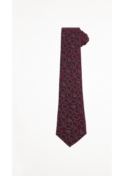 Tudors Erkek Bordo Paisley Desenli Klasik Kravat Ve Cep Mendili Takımı-51512