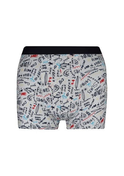 Alaturka Erkek Boxer Karışık Renk 3'lü Paket Set -bxr2000 Model-2 Model2