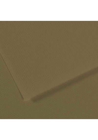 Canson Fon Kartonu Dokulu Mı-teıntes Sh Canmt 50x65 160 Gr Grn 191