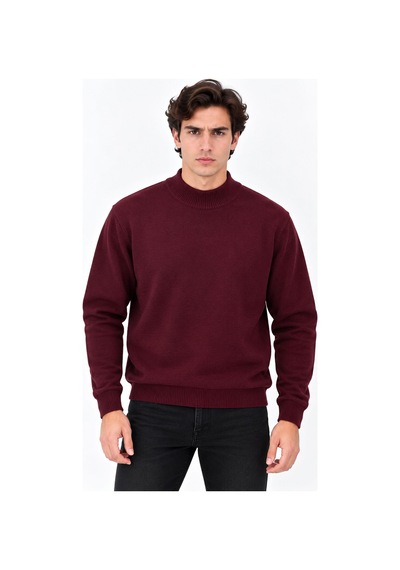 Classics Men Regular Fit Yarım Balıkçı Yaka Basic Triko Kazak 7812 Bordo