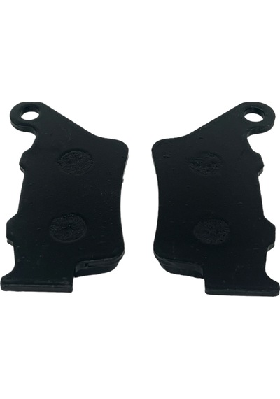 Disk Balata Arka - Bajaj Pulsar Ns 200 - Rs 200