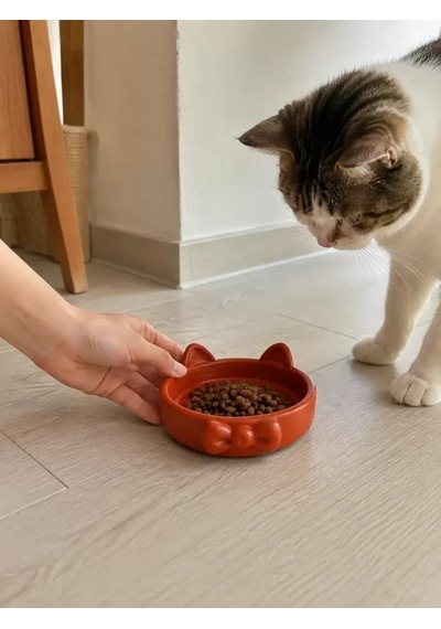 Hubrendy Sh Papyon Model Beton Kedi Köpek Mama Ve Su Kabı 16 Cm Çap - Kiremit