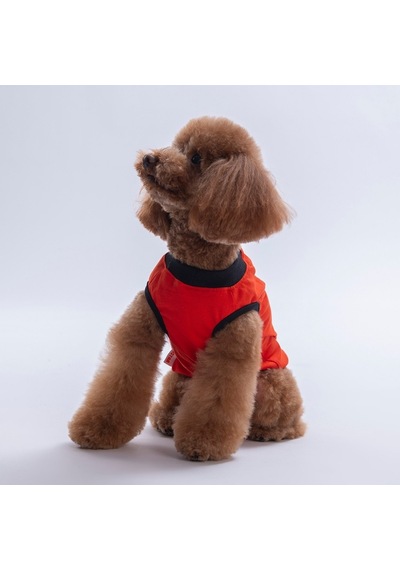 Red-kırmızı Just Smile Tişört Kedi Köpek Tişörtü-kedi Köpek Kıyafeti