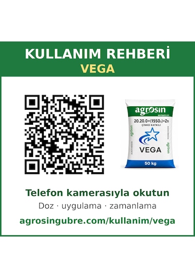 Agrosin Vega 20.20.0+(15SO3)+ME Çinkolu NP Granül Taban Gübresi 50 kg -