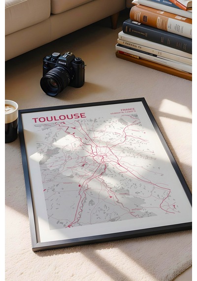 Tuzul Fransa Toulouse - France Haritası Çerçeveli Tablo Lüks Salon Ofis Duvar Dekorasyonu Tablo