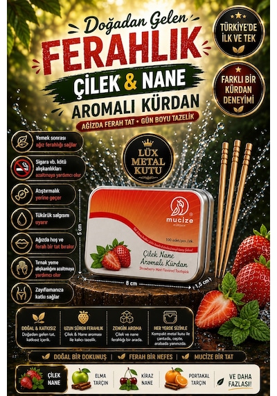 Mucize 2"li Set Çilek Nane Aromalı Kürdan Metal Kutu+ Doypak