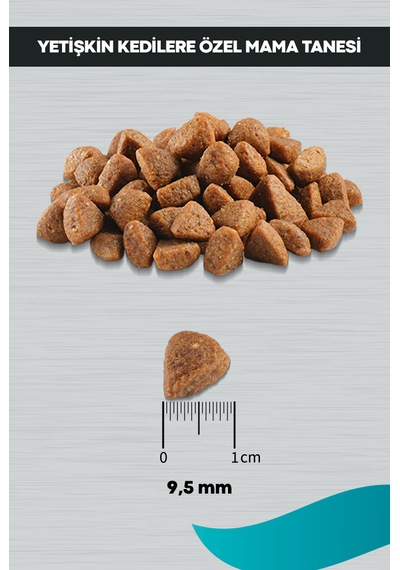 Signature Kuzulu Yetişkin Kedi 10 KG + Fresh Paty Clinic Kum 6 L