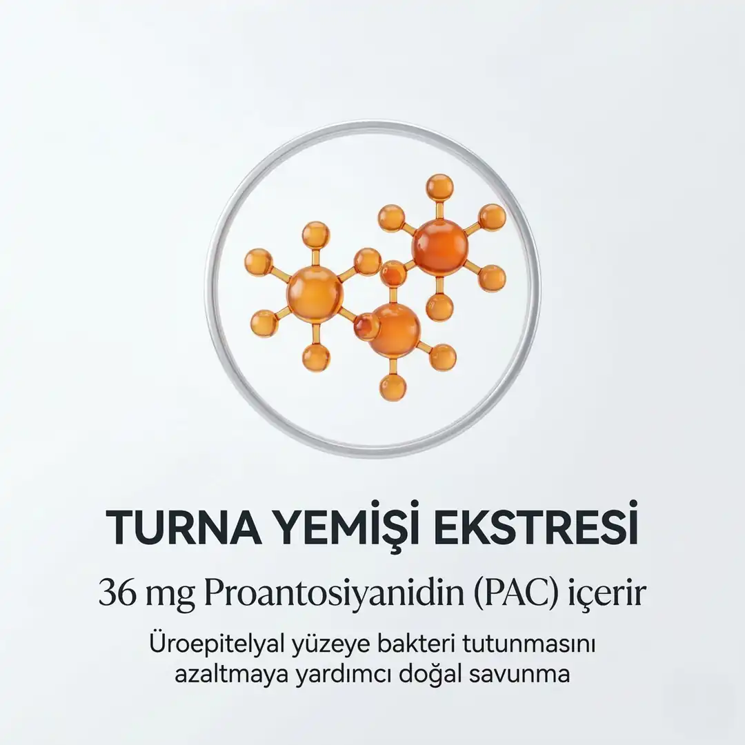 Faynblad D-mannoz, Cranberry Turna Yemişi , Kondroitin Sülfat Ve Hyaluronik Asit Takviyesi 30 Saşe