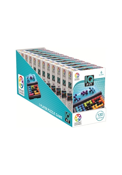 Smart Games iq Fit.