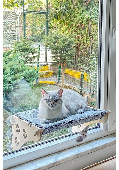Cama Yapışan Kedi Yatağı