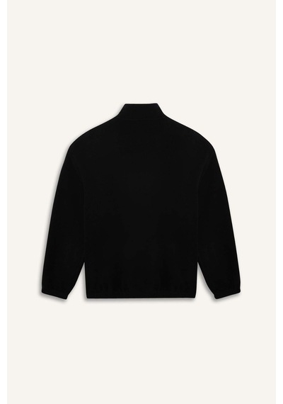 Defacto Boxy Fit Dik Yaka Yarım Fermuarlı Polar Sweatshirt E8632ax25wnbk81 Siyah