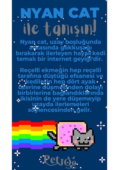 Petjoo 2.Nyan Cat Gri-Mavi Qr'lı Kedi Künyesi