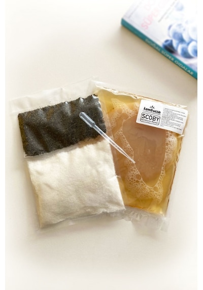 Kombuçça Kombucha Başlangıç Kiti Mantarı Kombuça Scoby - Kombu Çayı - Kambuça Kültürü Mayası 3'lü