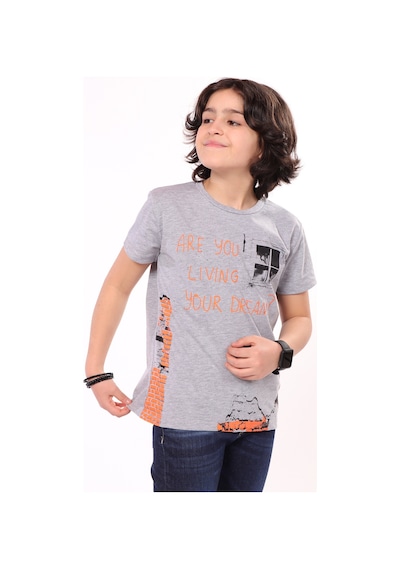Toontoy Kids Toontoy Erkek Çocuk Baskılı Tişört Gri Melanj