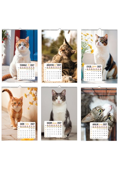 2027 Kedi Duvar Takvimi 33x48 Cm Ebat-12 Sayfa Beyaz