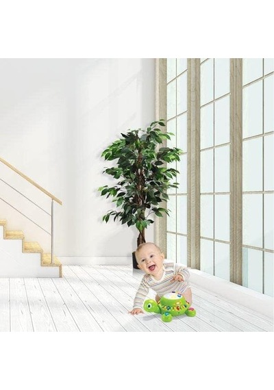 Ayrex Yapay Ağaç Benjamin 2 Gövdeli Çalılı 120x70cm Siyah Plastik Saksılı Diğer