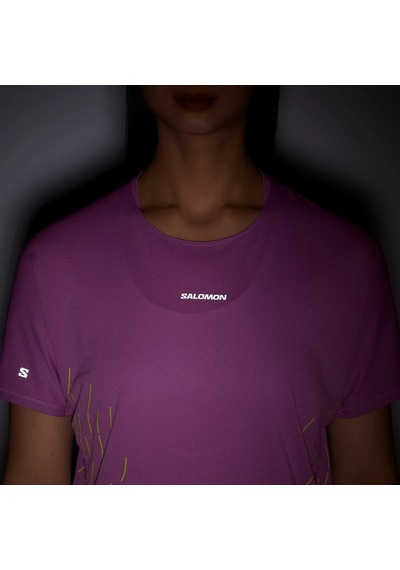Salomon Sense Aero Ss Tee Gfx W 2056 Pembe