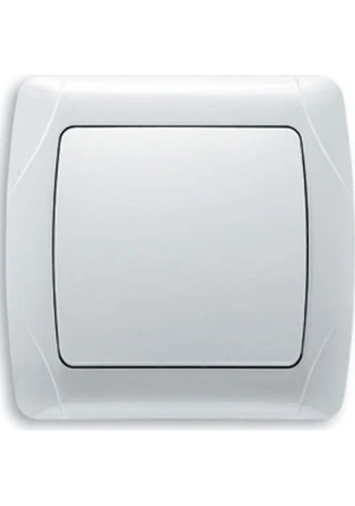 Beyaz Anahtar - 250 V, 16 A 1