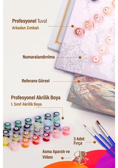Sayılarla Boyama Tuval Seti Fırça Boya Dahil Çıtalı 40x50 Cm - Kediler