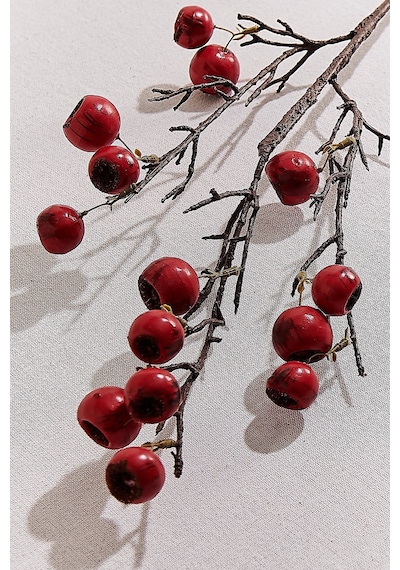 Pasabahce Fruit 68 Cm Kırmızı - 1 Adet
