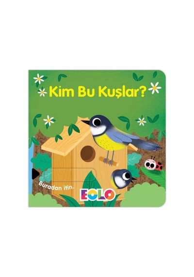 Eolo Kim Bu Kuşlar