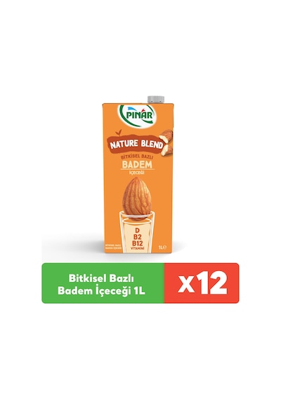 Nature Blend Bitkisel Bazlı Badem İçeceği 1 L Vegan Laktozsuz X 12 Adet