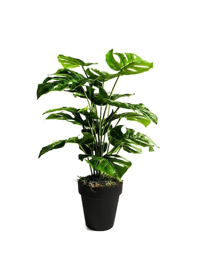 Yapay Ağaç Salon Bitkisi Monstera 70 Cm 18 Yaprak Antrasit Saksıd