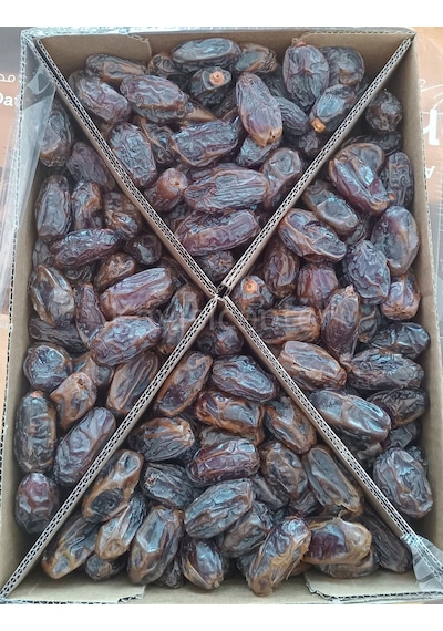 Toptan Kudüs Medjoul Jumbo Lüks Hurma 10 Kg 10 KG