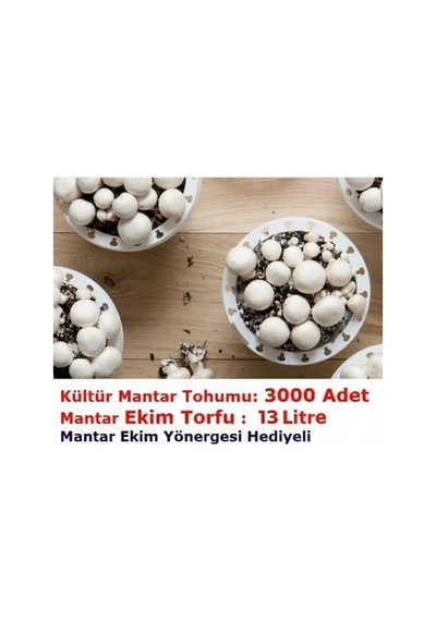 3000 Adet Kültür Mantar Tohumu Ve 13 Litre Mantar Ekim Torfu