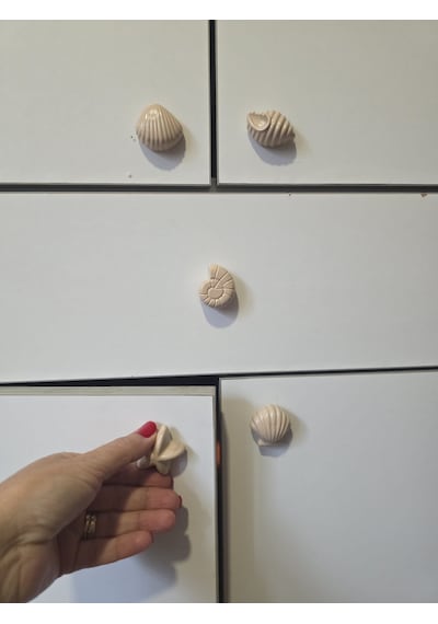 6'lı Deniz Kabuğu Temalı Dolap Çekmece Kulpu, Açık Kahve, 4-5 Cm, Açık Kahverengi