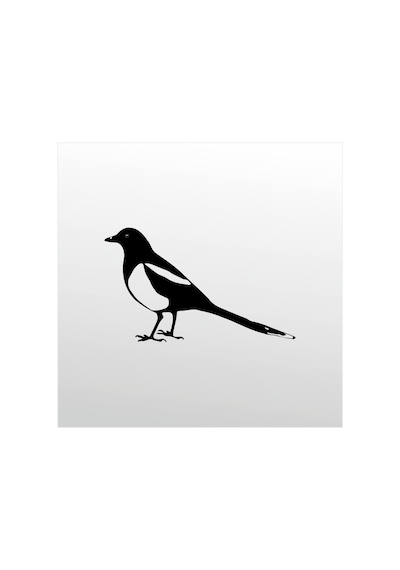 Folyo Sticker Muhabbet Kuşu 50cm Uzunluk Siyah