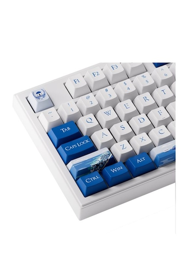 Akko 5098bB Plus Santorini RGB Kablosuz Hotswap Mekanik Oyuncu Klavye