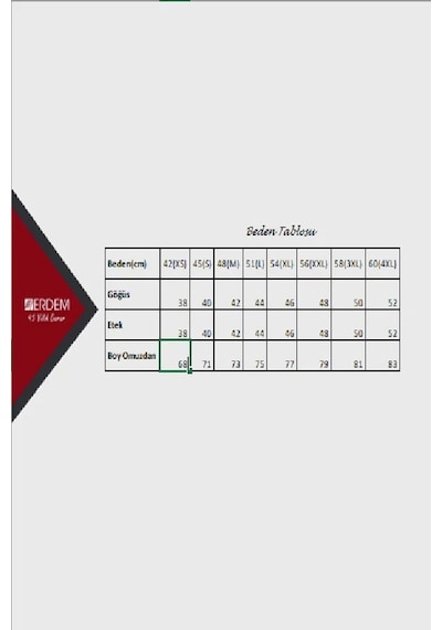 Erdem Erkek Likralı Sporcu Askılı Atlet 1121 - 6 Adet 001