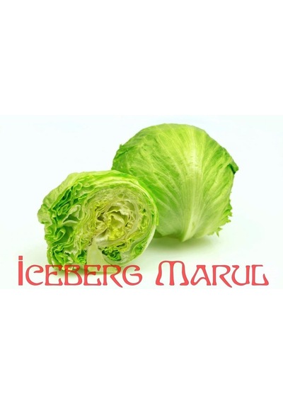 Göbek Marul Iceberg 1000 Adet Tohum