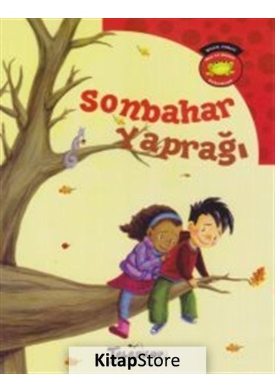 Sonbahar Yaprağı  - Carl Emerson  - Teleskop Popüler Bilim