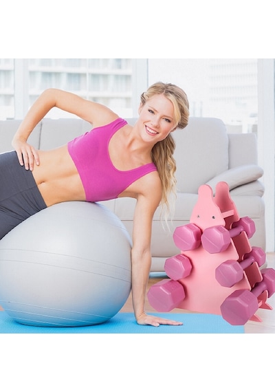 Psspor 3 Set Pembe Renk Dambıl Seti + Stand 2 Adet 1kg - 2 Adet 2kg - 2 Adet 3kg + Stand