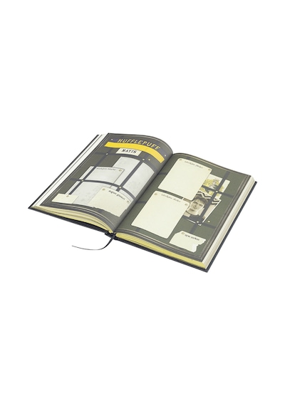 Mabbels Mösyö Taha Harry Potter Haftalık Ajanda Hufflepuff Çok Renkli